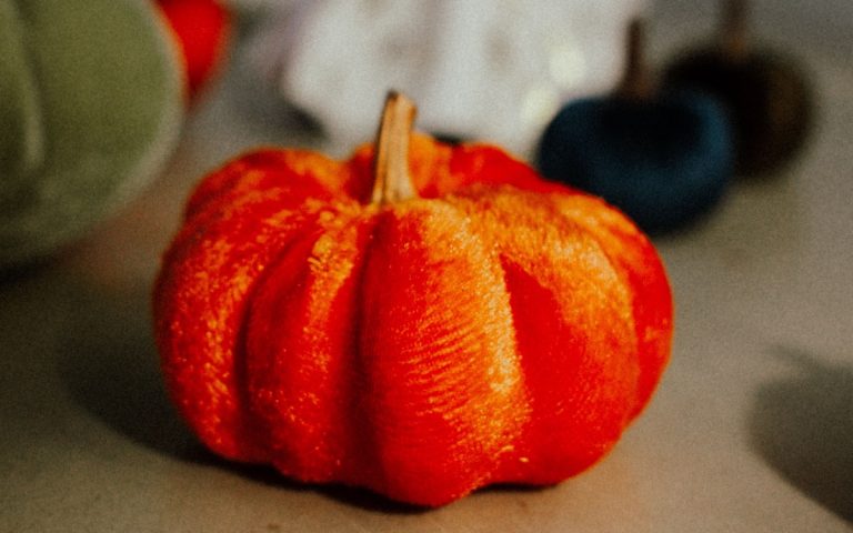 Orange velvet pumpkin with green, white and navy velvet pumpkins behind it