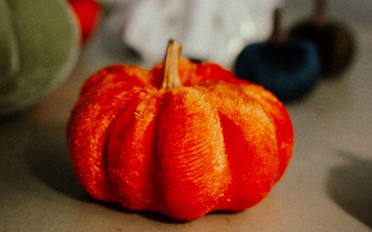 Orange velvet pumpkin with green, white and navy velvet pumpkins behind it