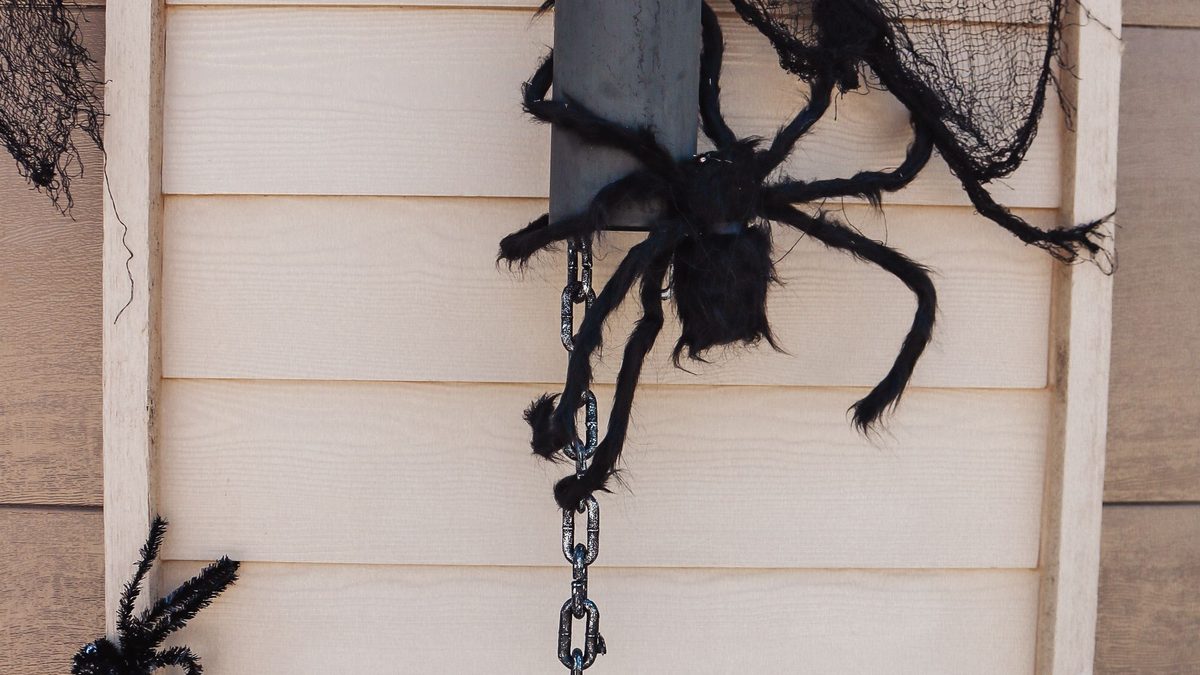 Large black spiders and gauzy webbing attached to a front porch wall